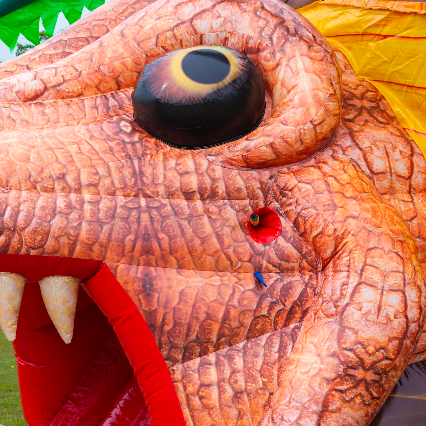 Waffle Spot for Dinosaur Combo