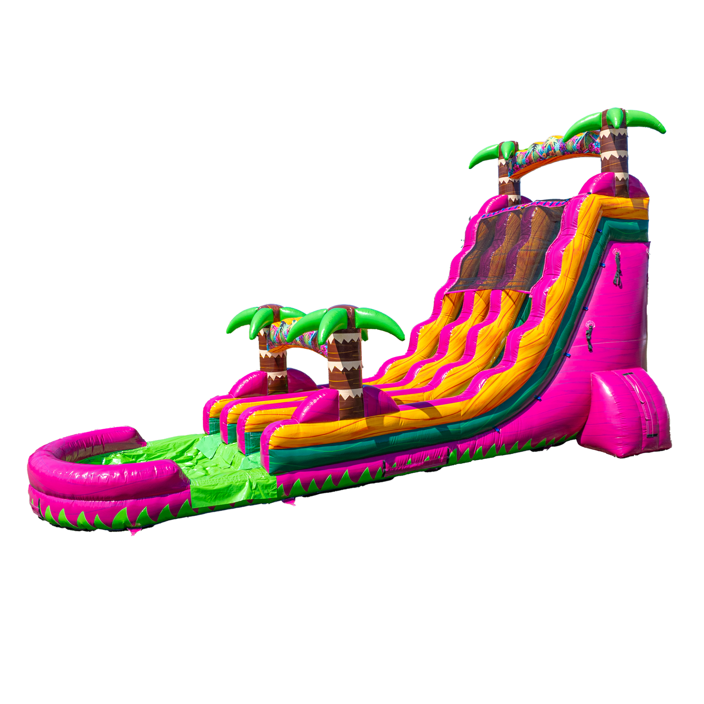 22FT Magenta Dual Lane Slide