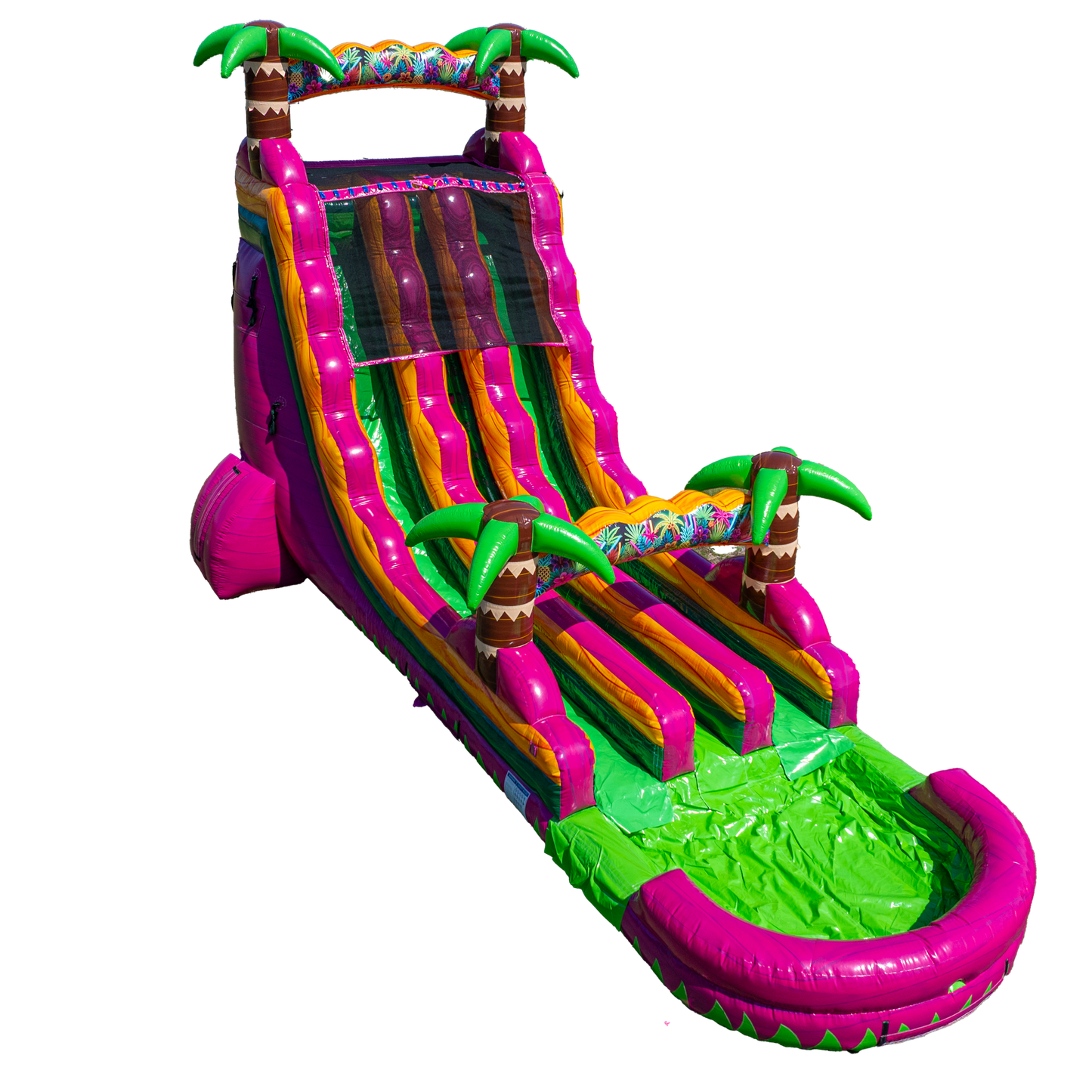 22FT Magenta Dual Lane Slide
