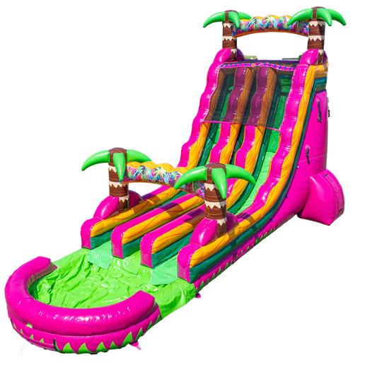 22FT Magenta Dual Lane Slide