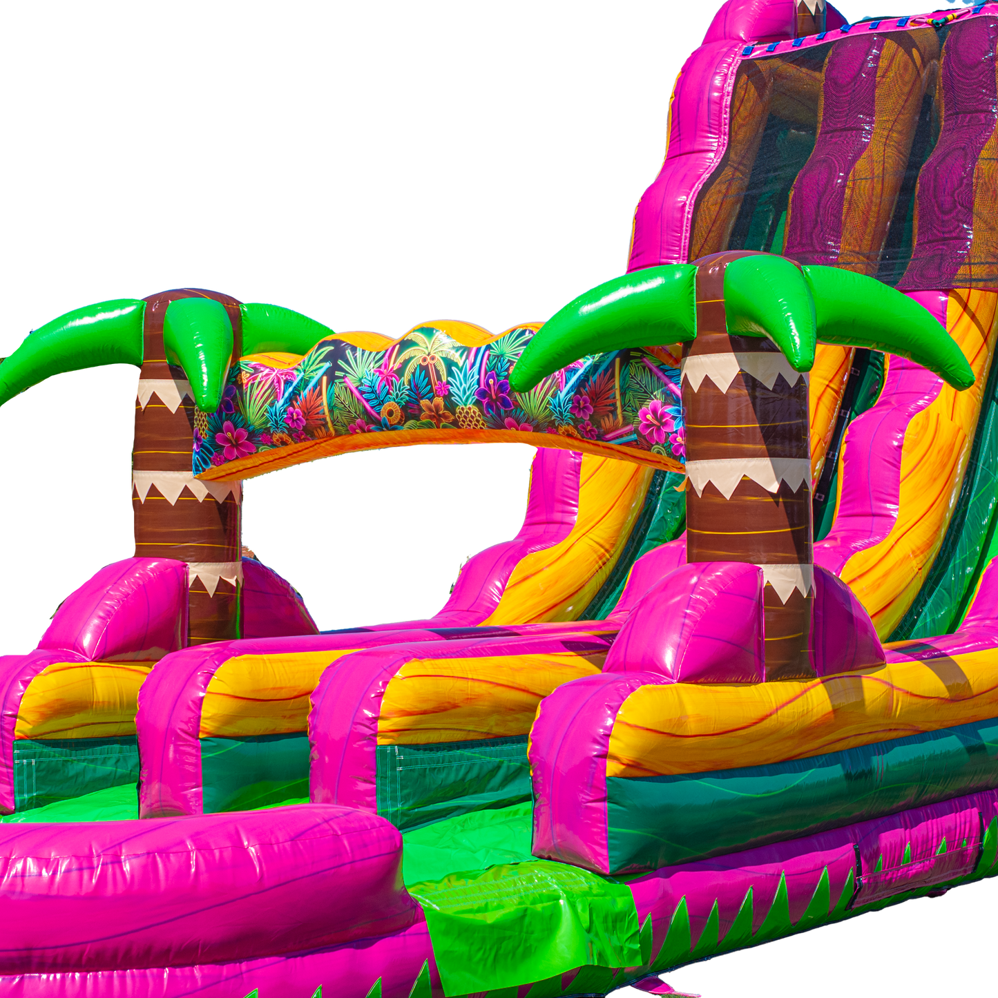 22FT Magenta Dual Lane Slide