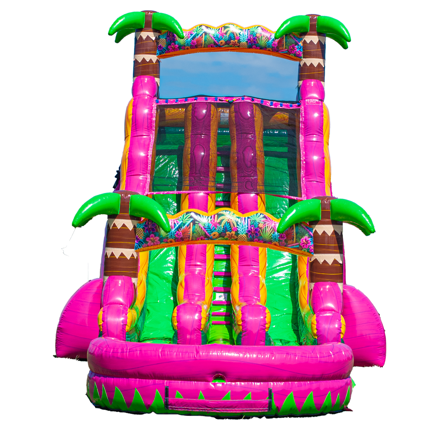 22FT Magenta Dual Lane Slide