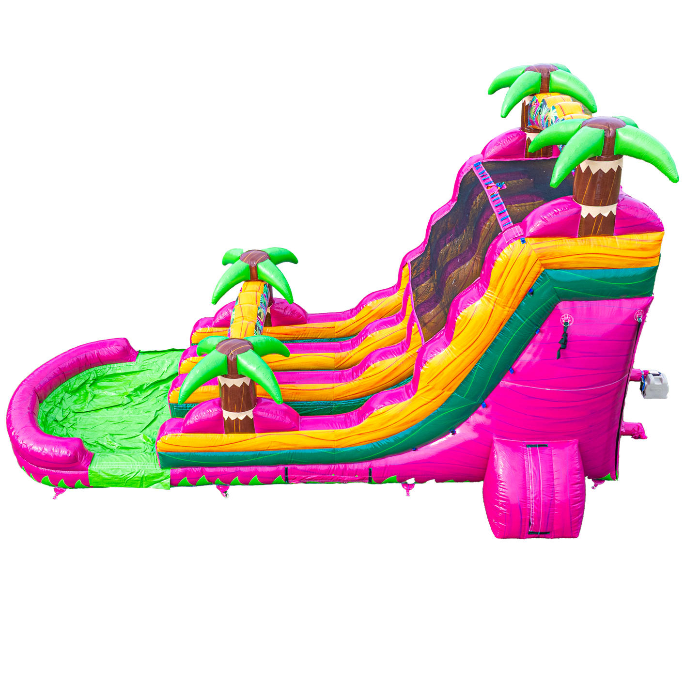 18FT Magenta Dual Lane Slide