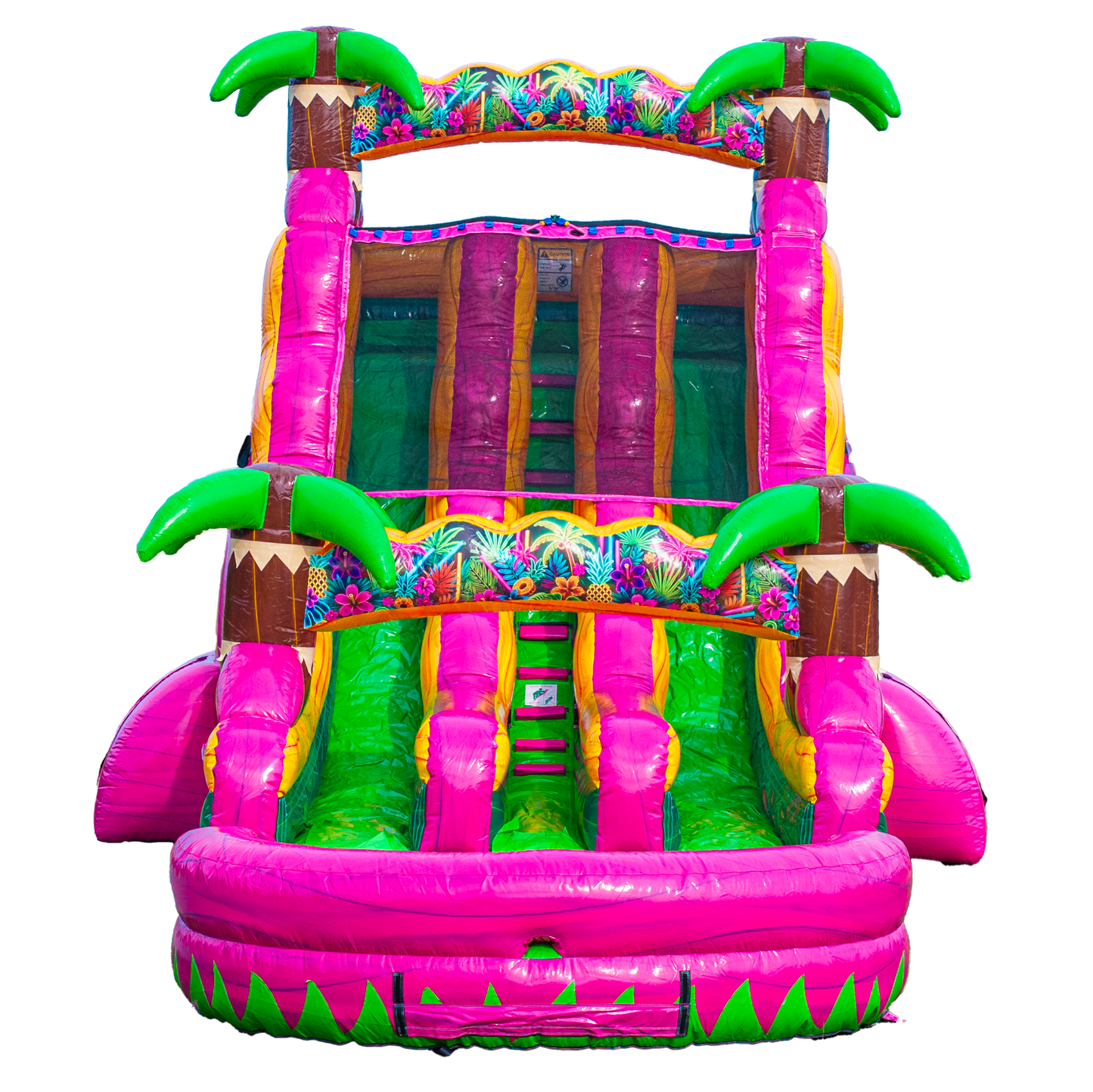 18FT Magenta Dual Lane Slide