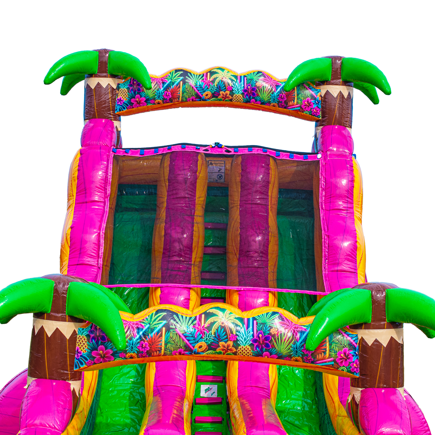 18FT Magenta Dual Lane Slide