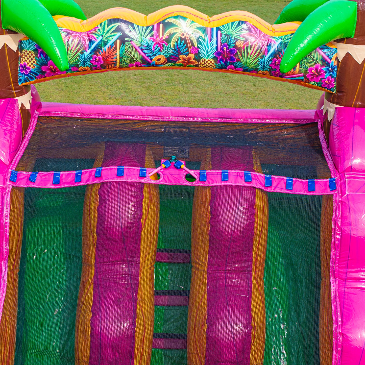 18FT Magenta Dual Lane Slide