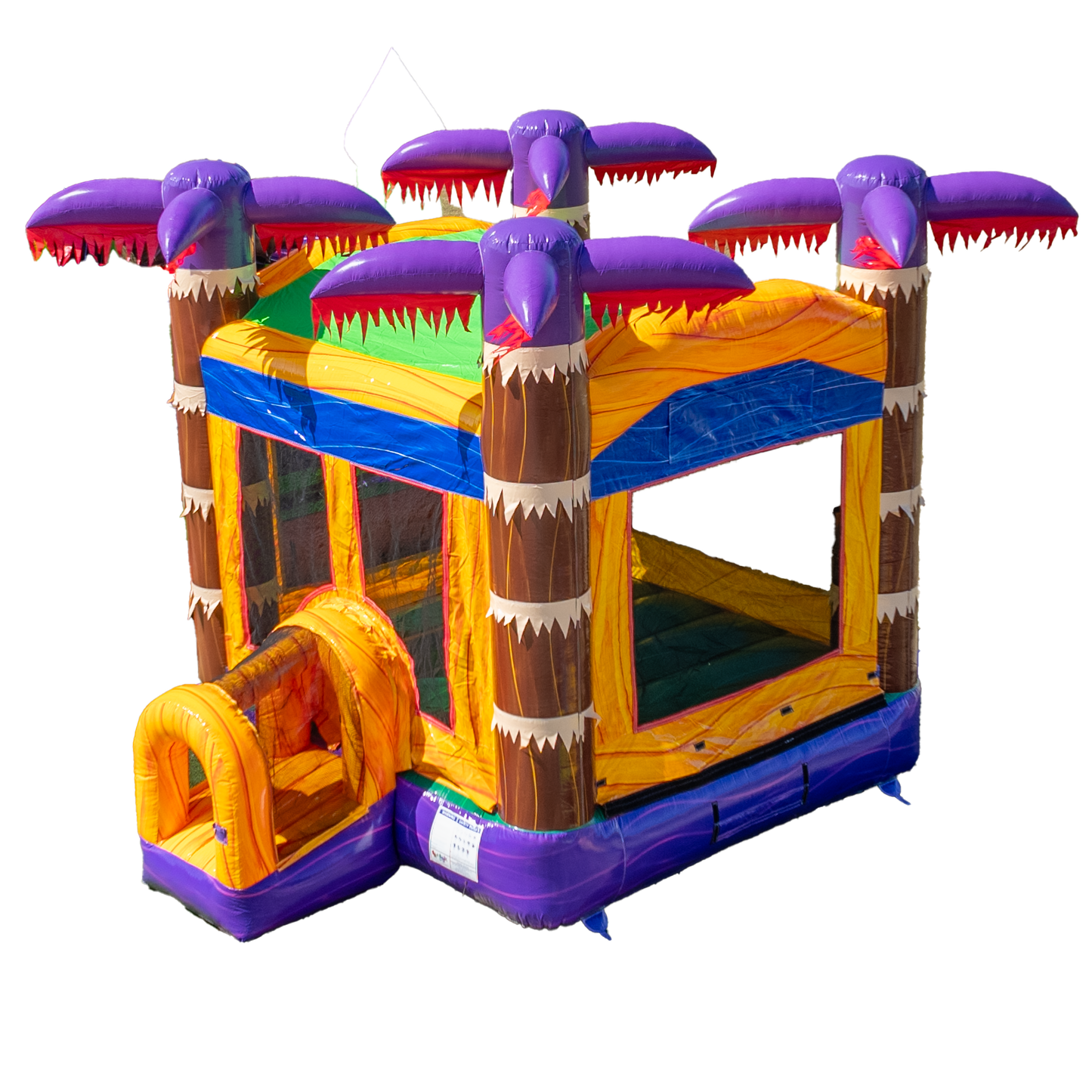Lava Falls Bounce House