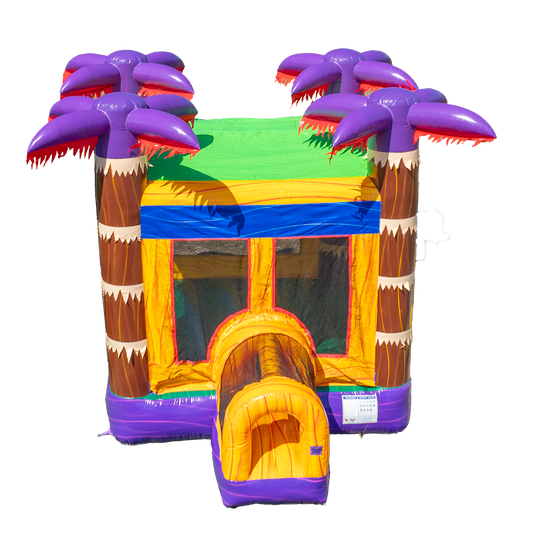 Lava Falls Bounce House