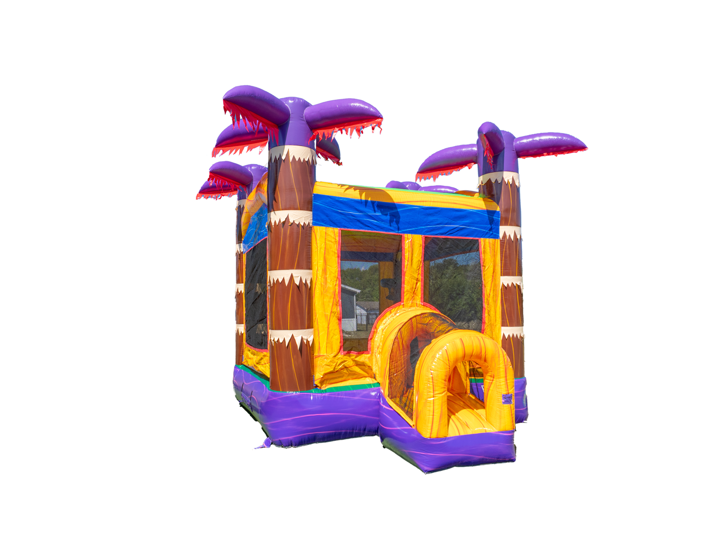 Lava Falls Bounce House
