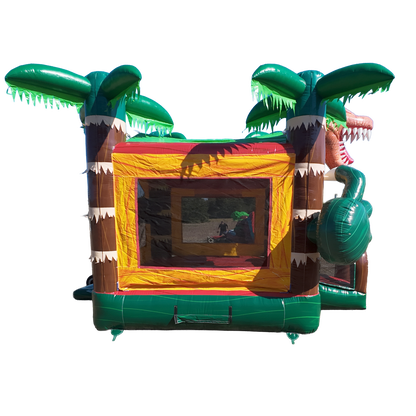Dino Bounce House