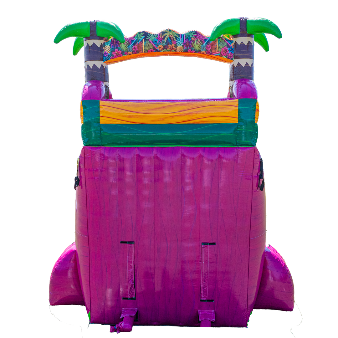 22FT Magenta Dual Lane Slide
