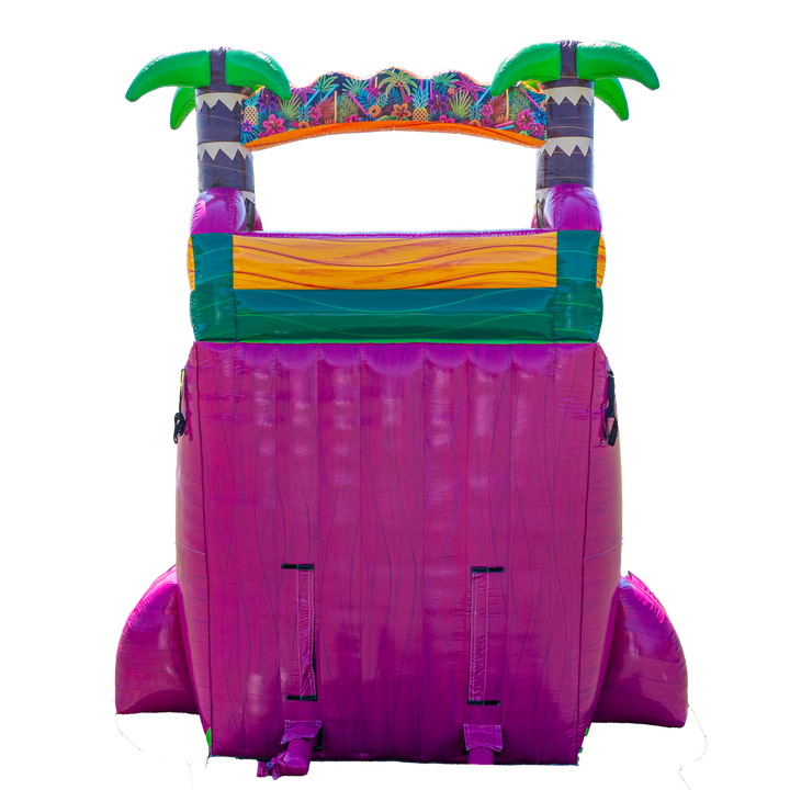 22FT Magenta Dual Lane Slide