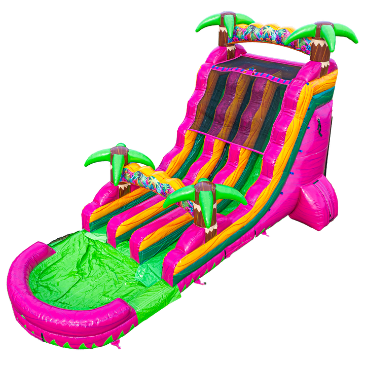 18FT Magenta Dual Lane Slide