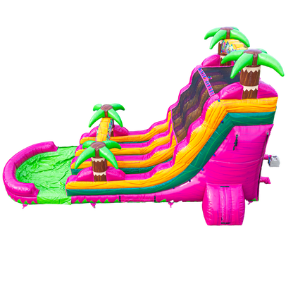 18FT Magenta Dual Lane Slide