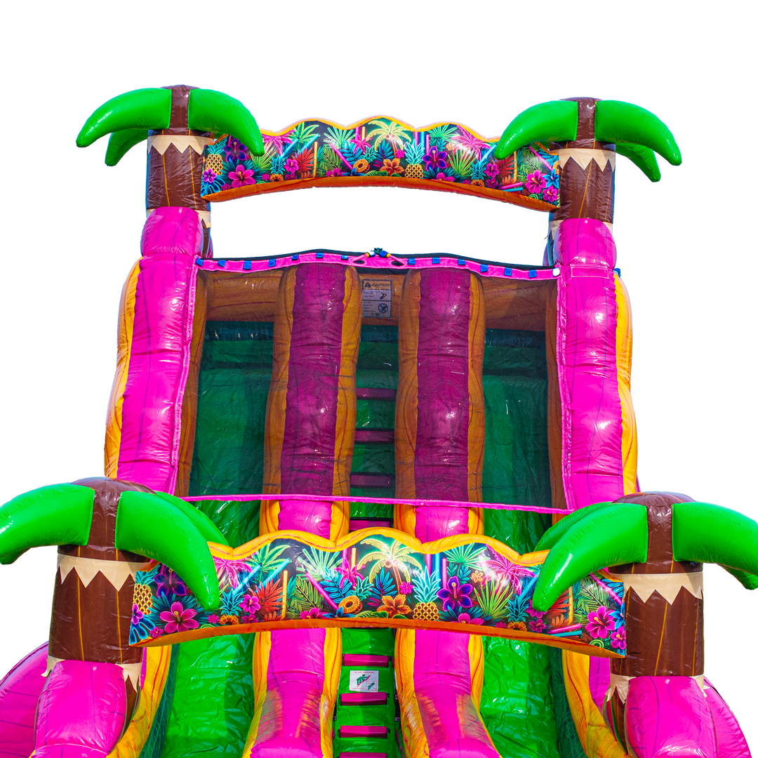 18FT Magenta Dual Lane Slide