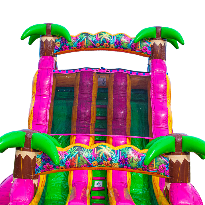 18FT Magenta Dual Lane Slide