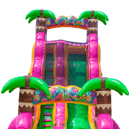 20FT Magenta Single Lane Slide