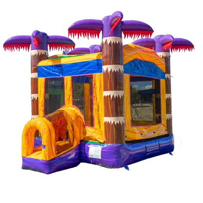 Lava Falls Bounce House