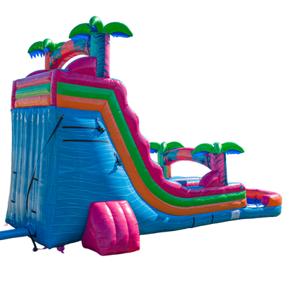 20FT Electric Tropics Dual Lane Slide