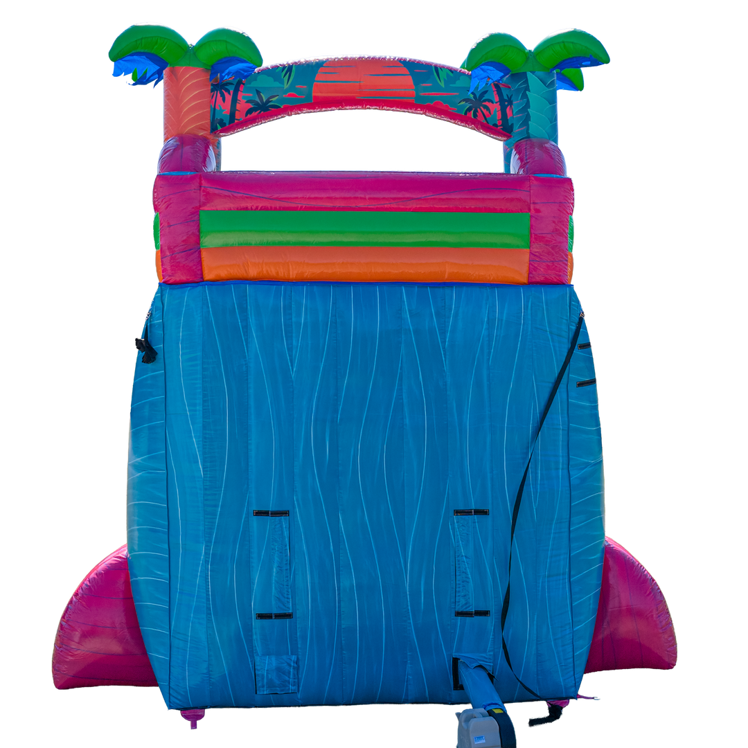 20FT Electric Tropics Dual Lane Slide