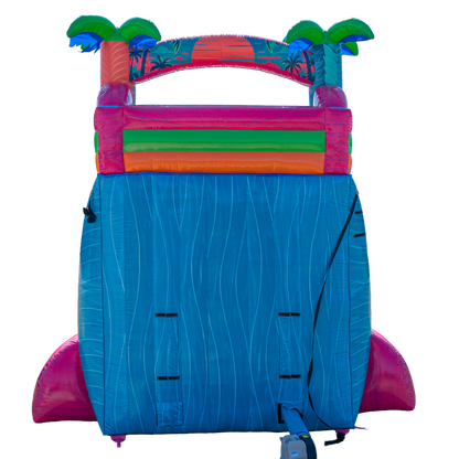 20FT Electric Tropics Dual Lane Slide