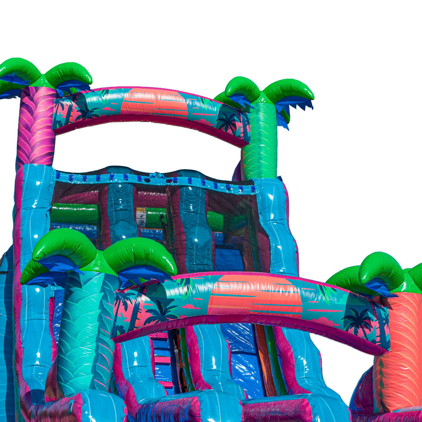 20FT Electric Tropics Dual Lane Slide