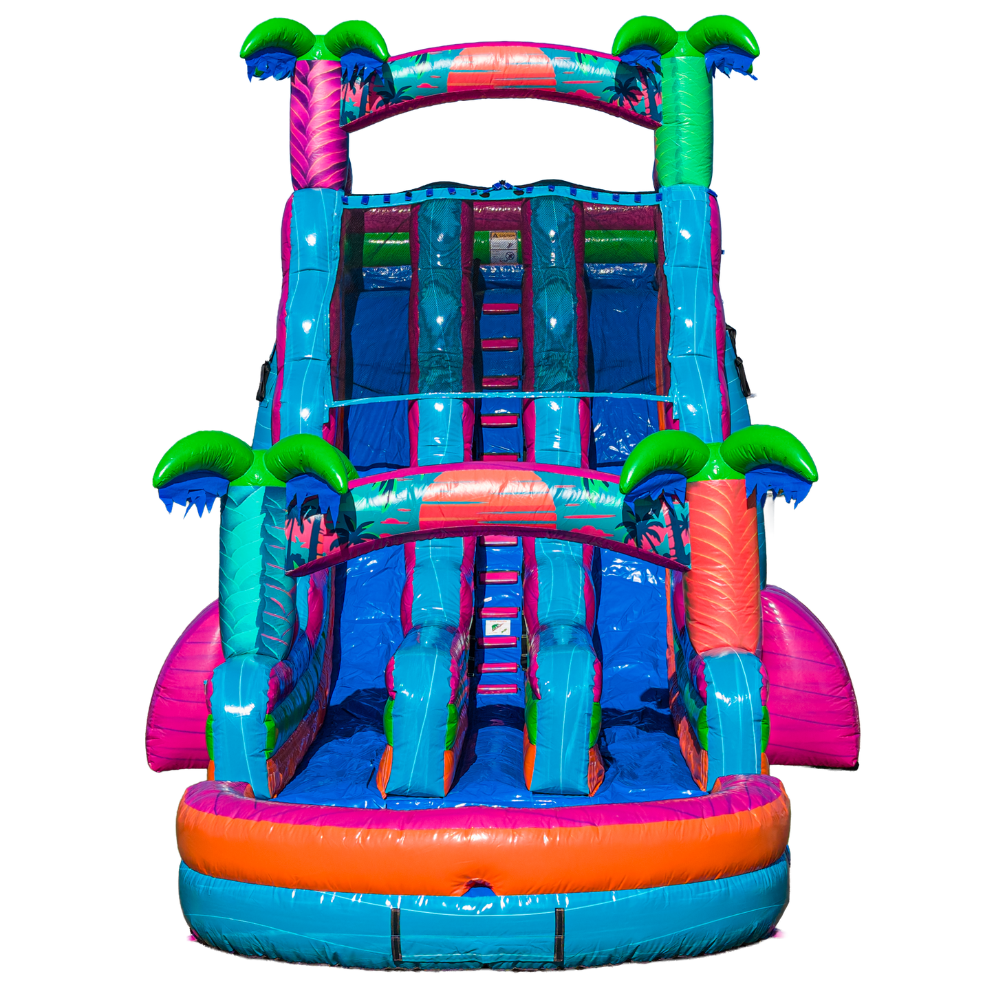 22FT Electric Tropics Dual Lane Slide