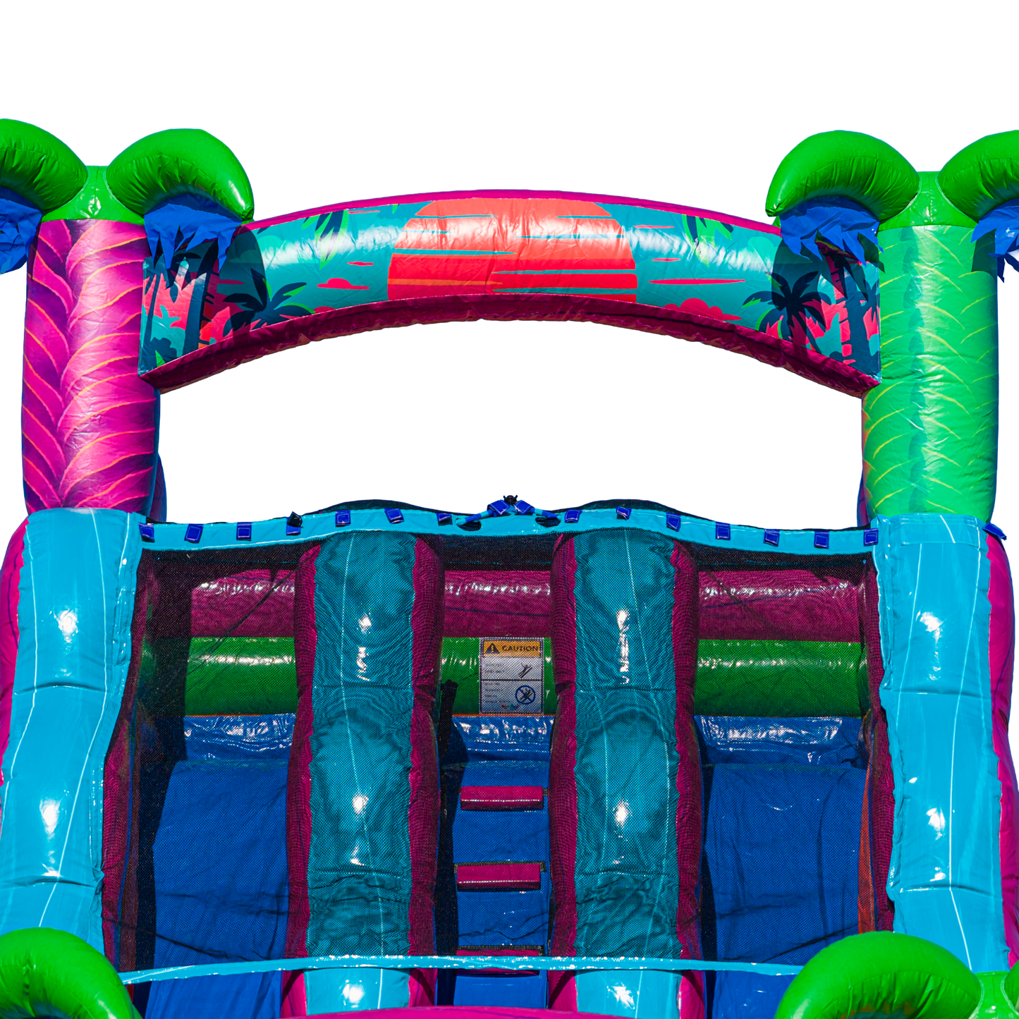 22FT Electric Tropics Dual Lane Slide