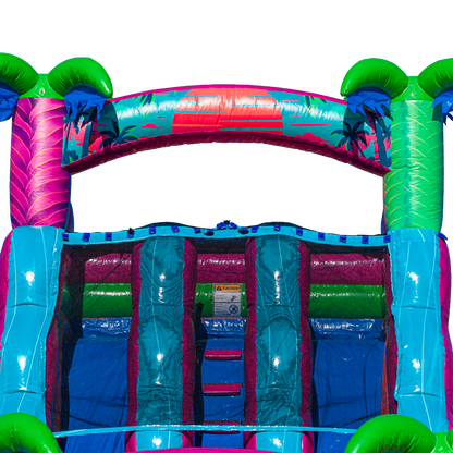 22FT Electric Tropics Dual Lane Slide