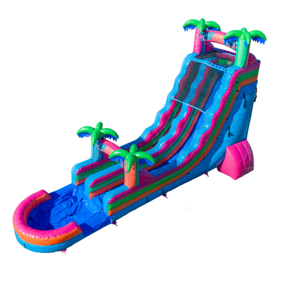 22FT Electric Tropics Single Lane Slide