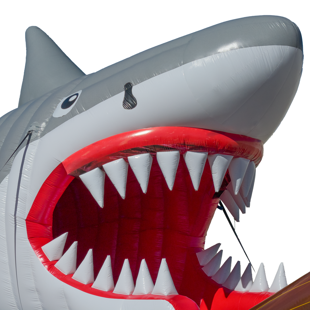 30FT Shark&