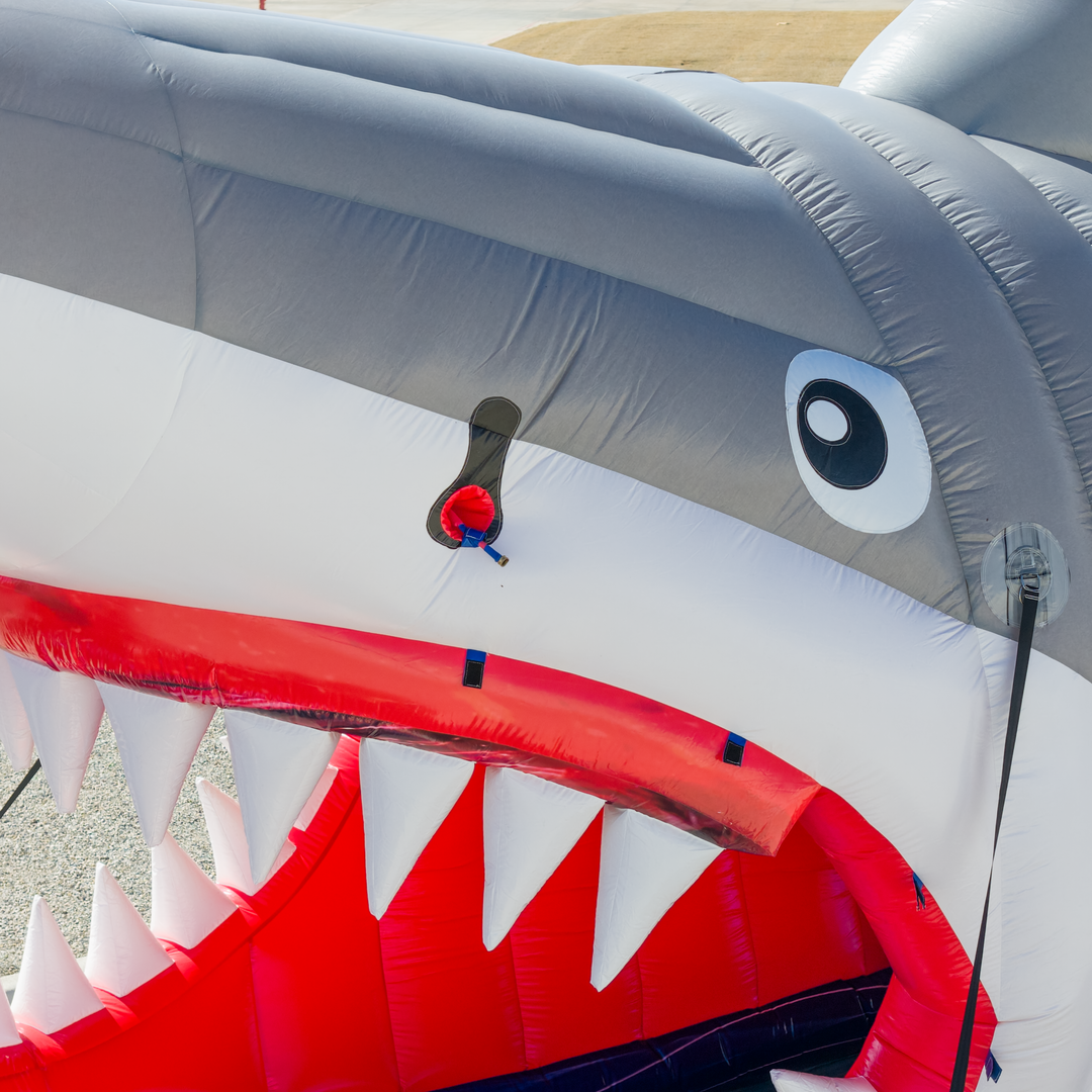 30FT Shark&