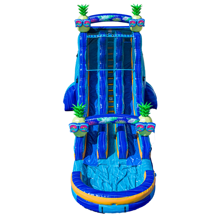 22FT Pineapple Dual Lane Slide