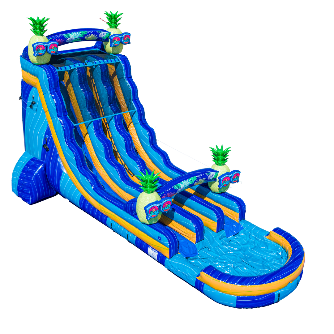 22FT Pineapple Dual Lane Slide