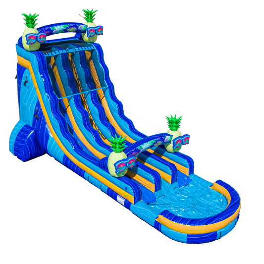 22FT Pineapple Dual Lane Slide
