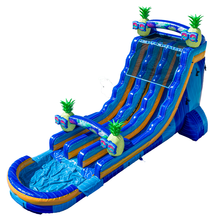 22FT Pineapple Dual Lane Slide