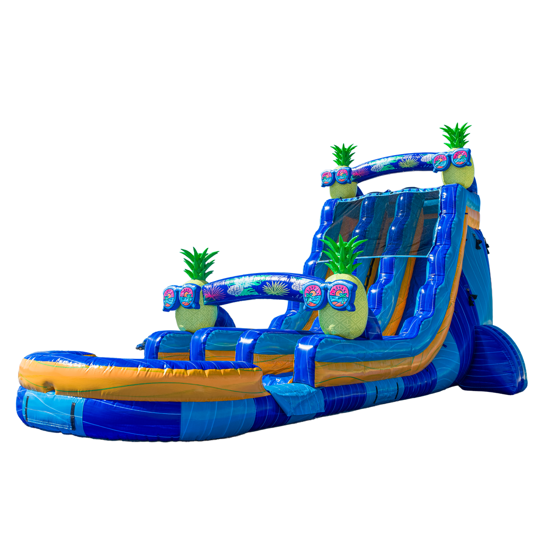 22FT Pineapple Dual Lane Slide