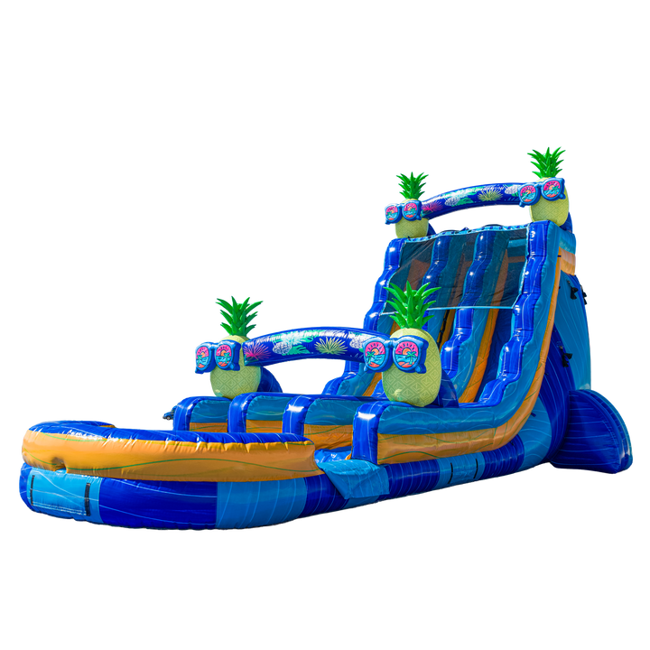 22FT Pineapple Dual Lane Slide
