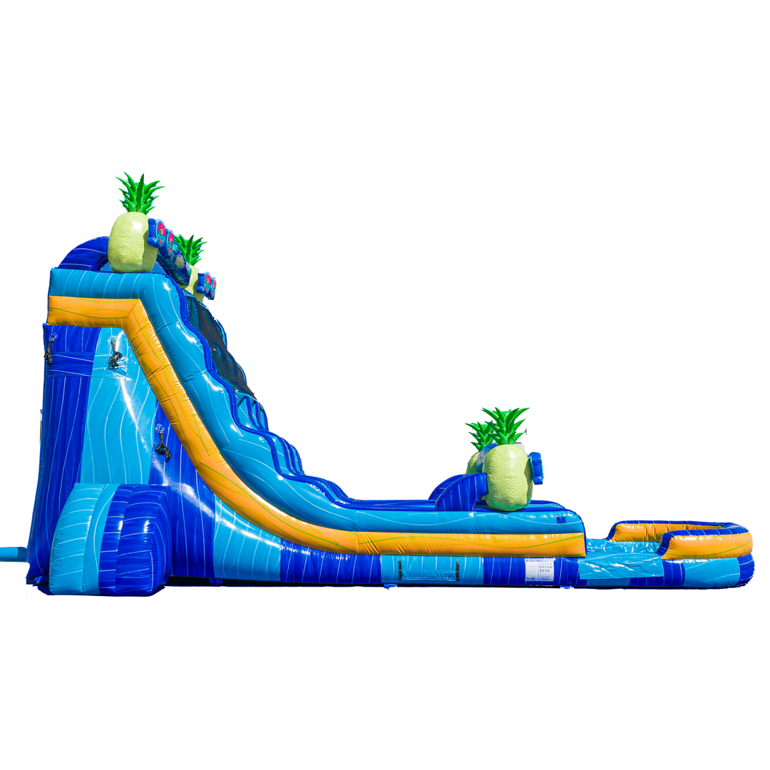 22FT Pineapple Dual Lane Slide