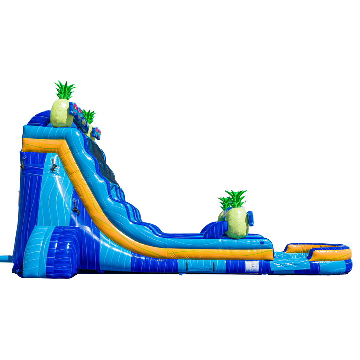 22FT Pineapple Dual Lane Slide