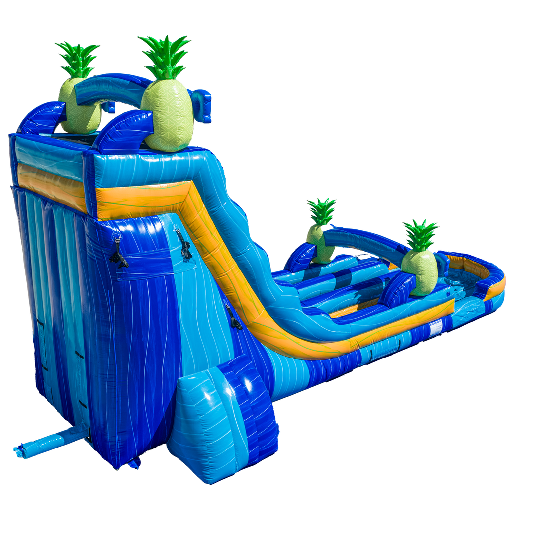 22FT Pineapple Dual Lane Slide