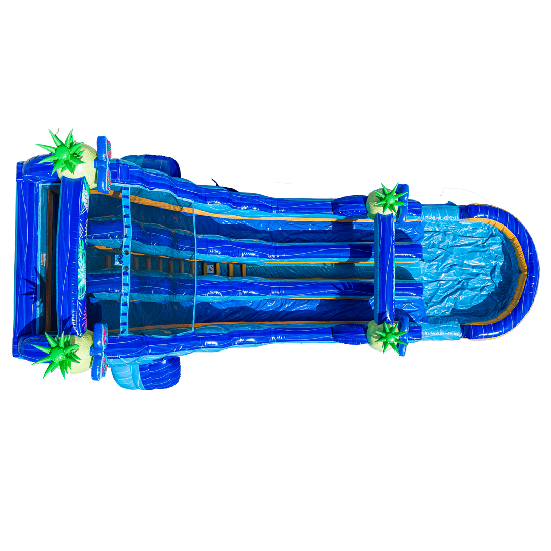 22FT Pineapple Dual Lane Slide