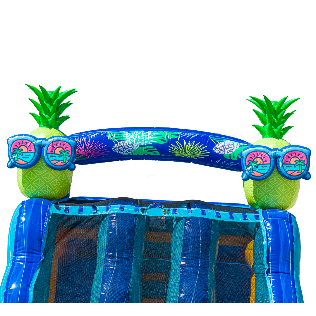 22FT Pineapple Dual Lane Slide