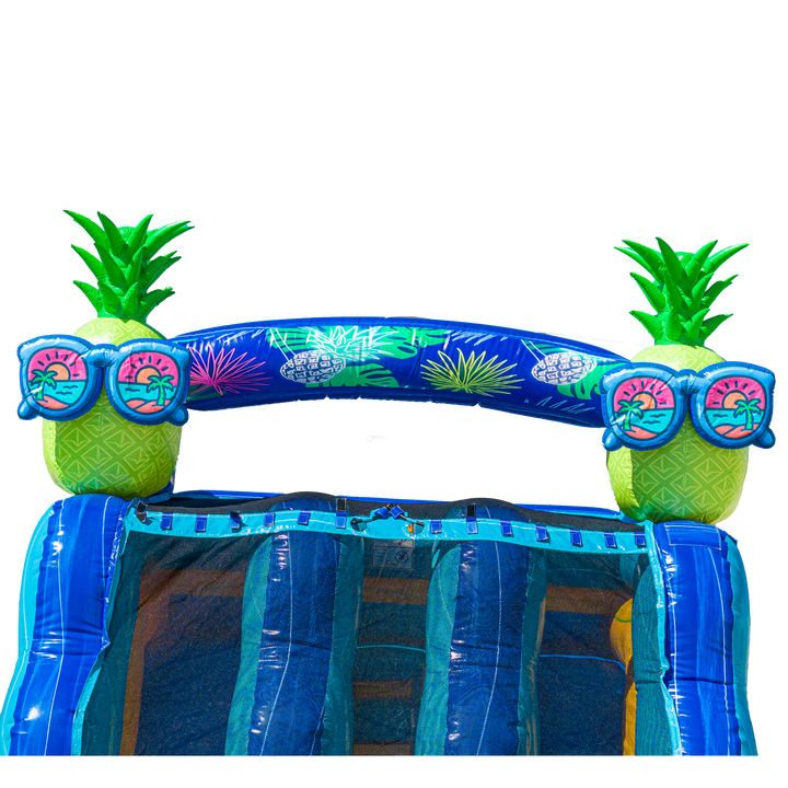 22FT Pineapple Dual Lane Slide