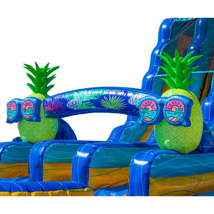 22FT Pineapple Dual Lane Slide