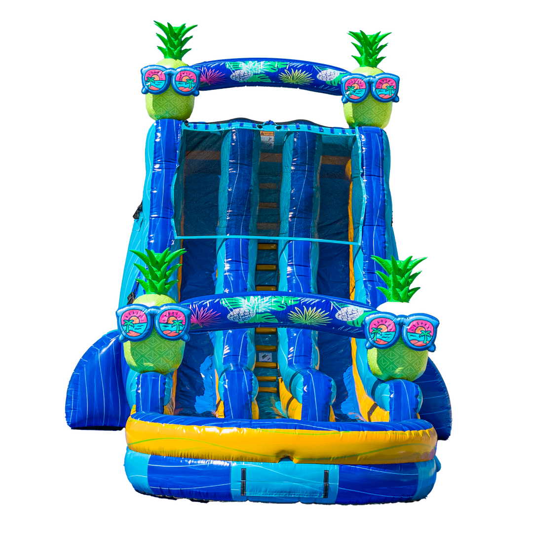 22FT Pineapple Dual Lane Slide