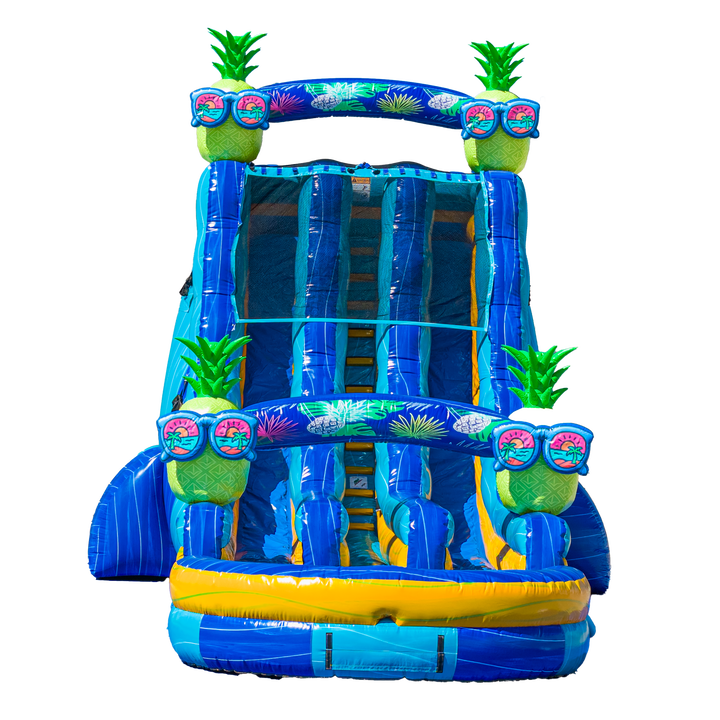 22FT Pineapple Dual Lane Slide