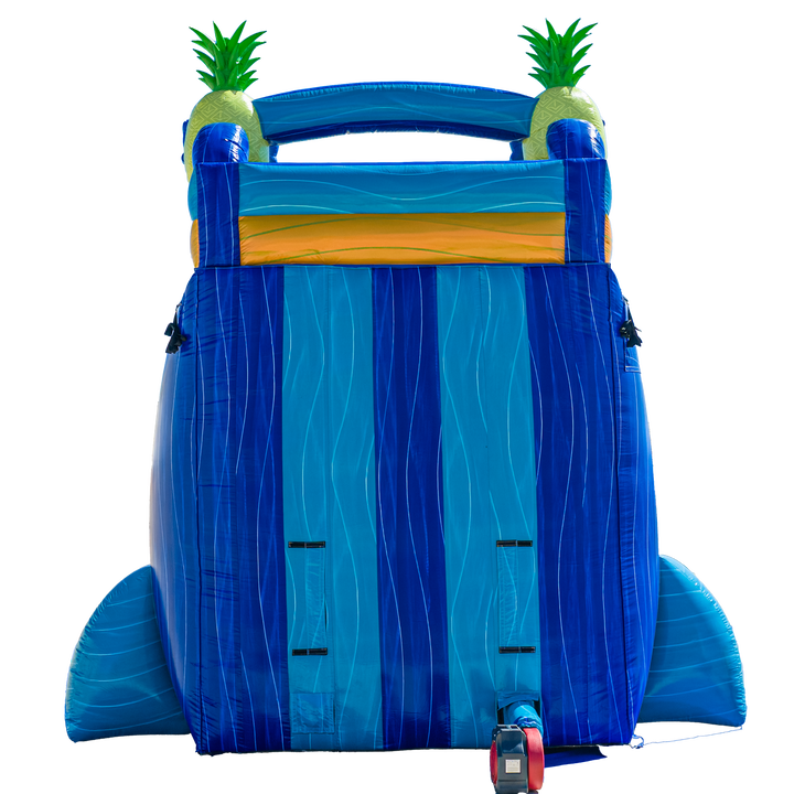 22FT Pineapple Dual Lane Slide