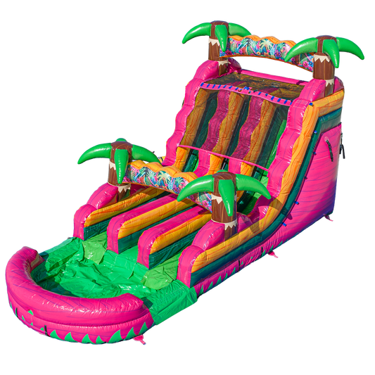 16FT Magenta Dual Lane Slide