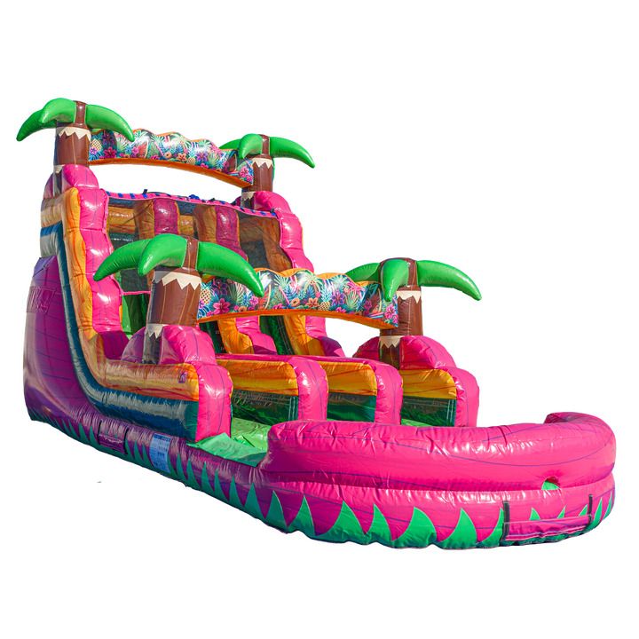 16FT Magenta Dual Lane Slide